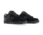 Nike SB Dunk Low Duck of the Feather Black University - Nike first copy shoes