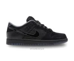 Nike SB Dunk Low Duck of the Feather Black University - Nike first copy shoes